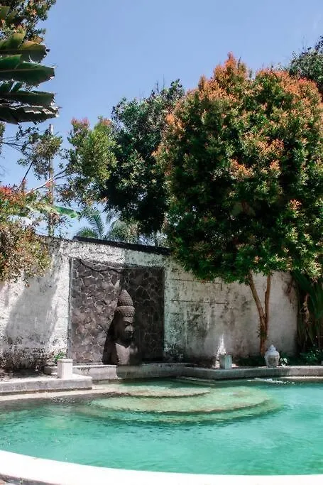 2 Bed Villa With Pool, Big Garden, Central Seminyak 0*, Seminyak (Bali)